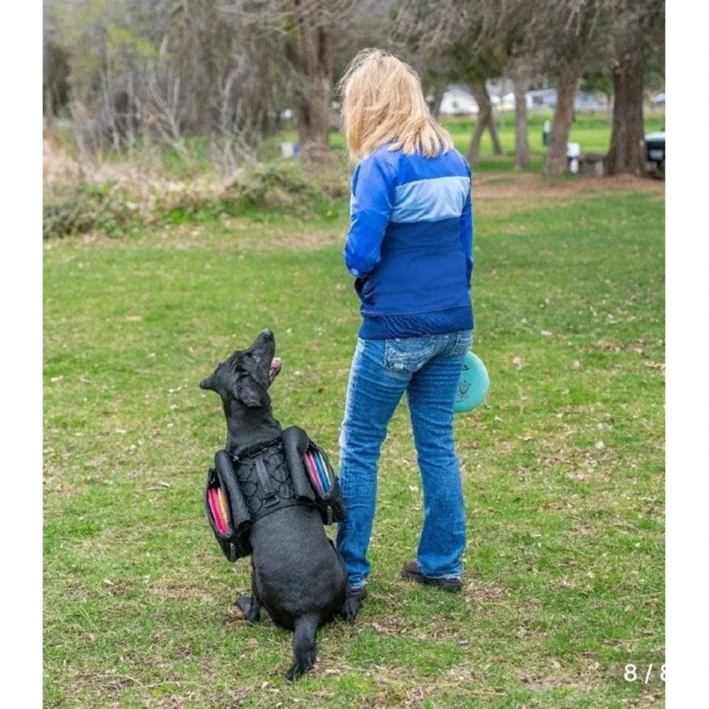 K9 Dog Backpack for Disc Golf Hiking Traveling Camping Training Harness